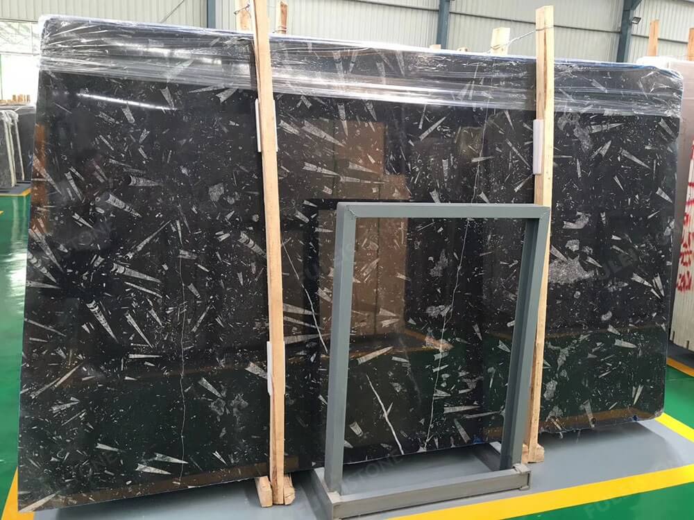 Fossil Black Marble Slabs