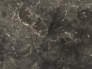 Pietra d` Avola Limestone Close Up