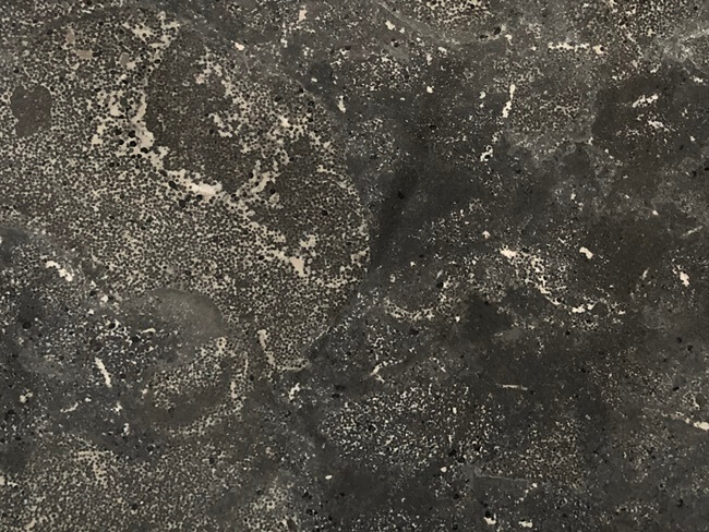 Pietra d` Avola Limestone Close Up